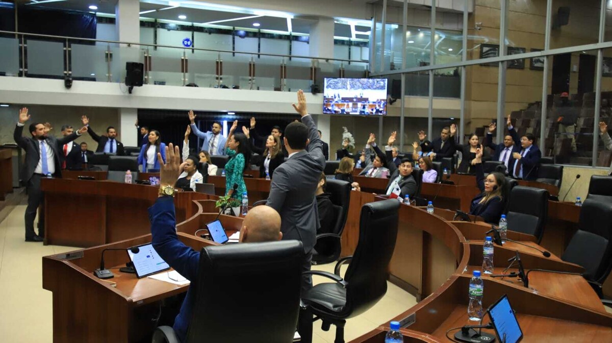 Депутаты Панамы вызвали министра на дачу показаний по скандалу в приютах