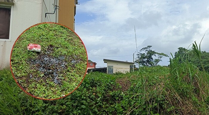 Adolescent in critical condition after gunshot to the head in Colón