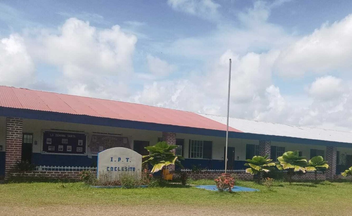 Woman handed over to court for embezzlement from parents' association in Panama