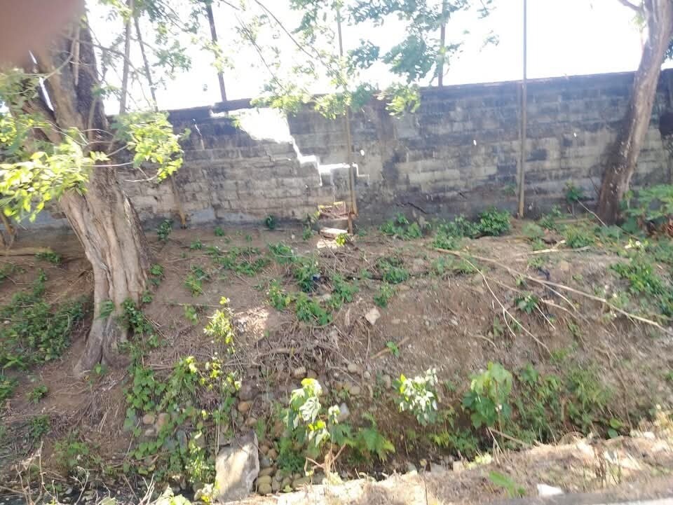 Chepo Stadium Collapses, Exposing Neglect