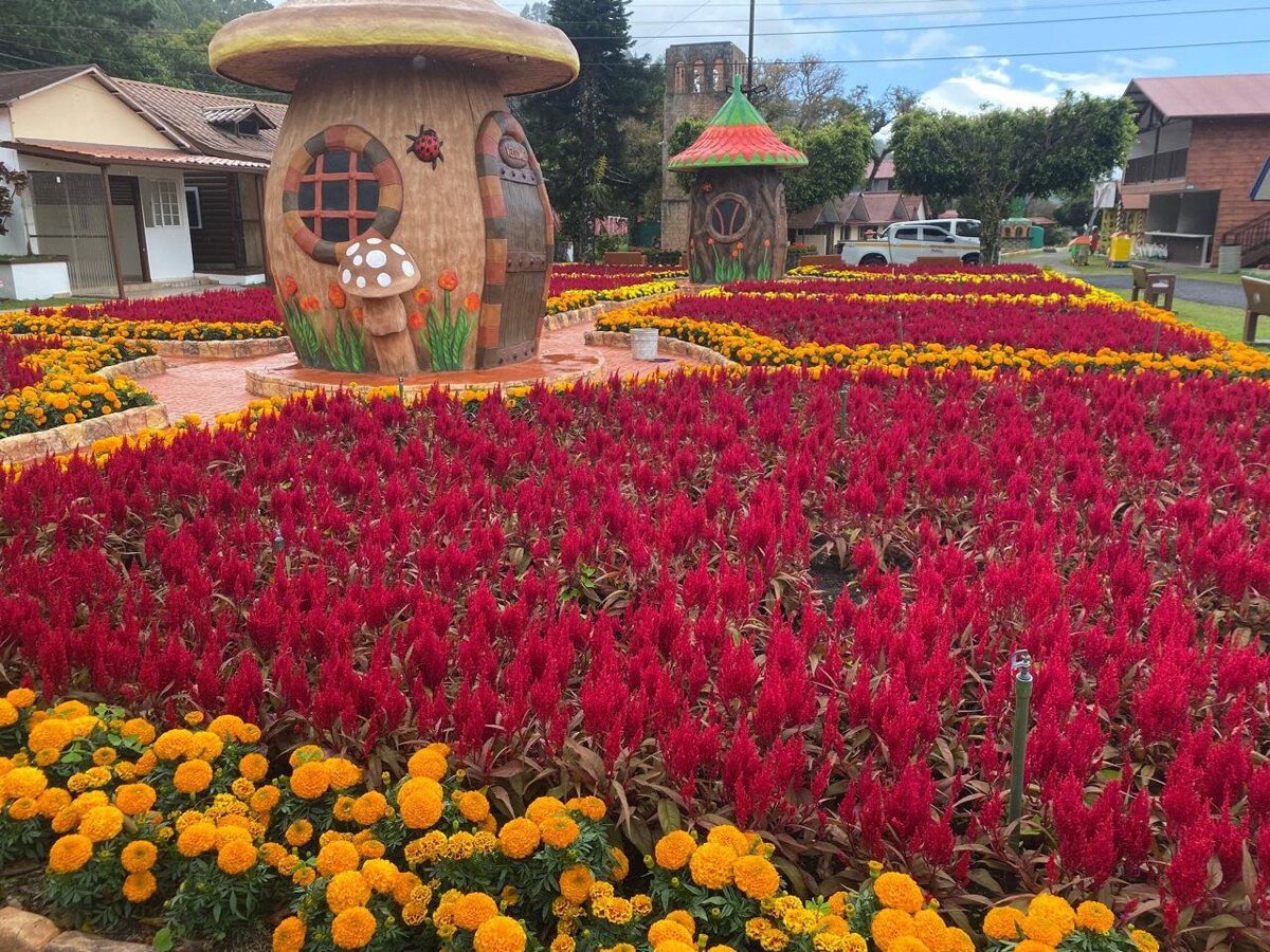 Temporada nacional de ferias inicia con la Feria de las Flores y del Café en Boquete