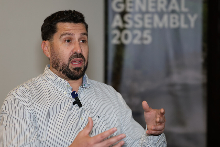 Деградация лесов в Латинской Америке достигла критического уровня