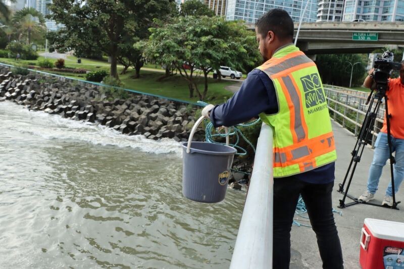 MiAMBIENTE проверяет реку Матасиньо после жалобы в соцсетях