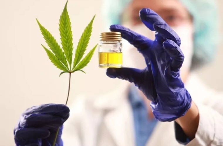 Panama's Ministry of Health Establishes Technical Council for Medicinal Cannabis