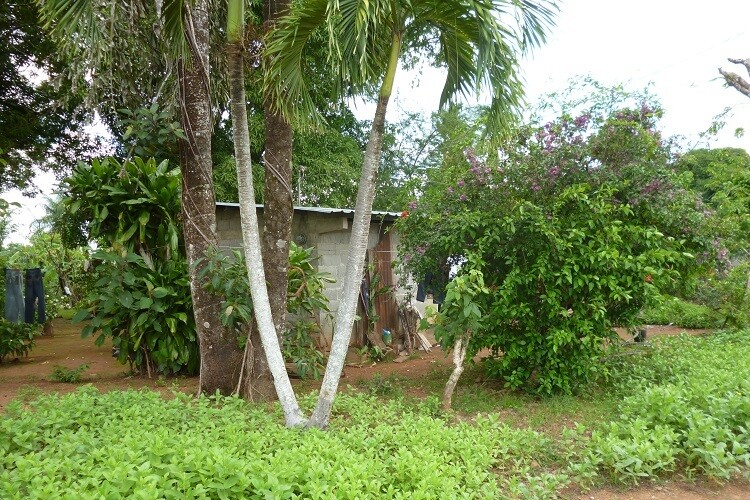 Water and Healthcare Shortages in La Mesa