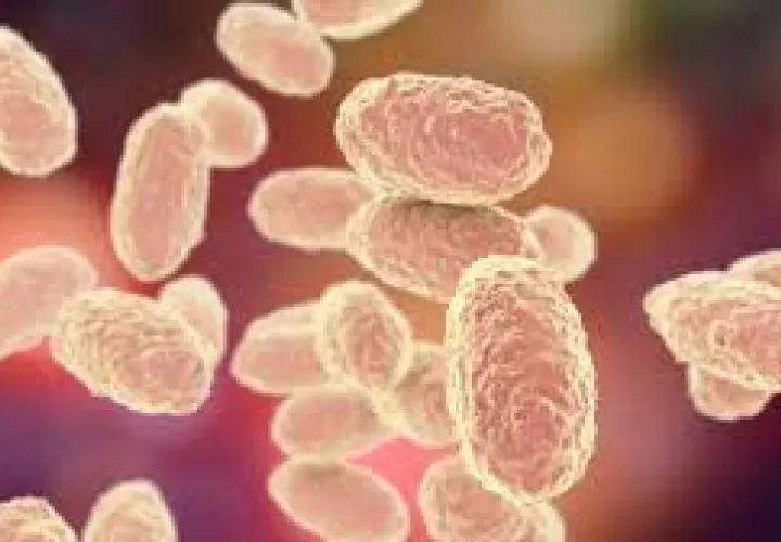 Minsa confirms first case of pertussis in Los Santos province