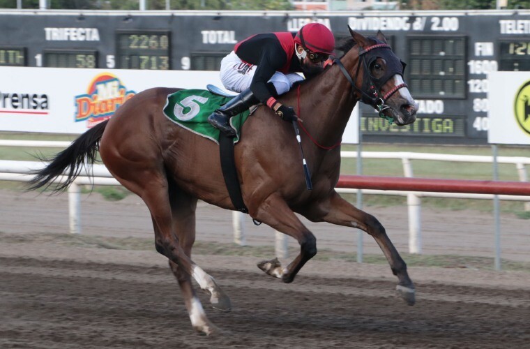 阿莱迪亚赢得埃里克·戈梅斯经典赛