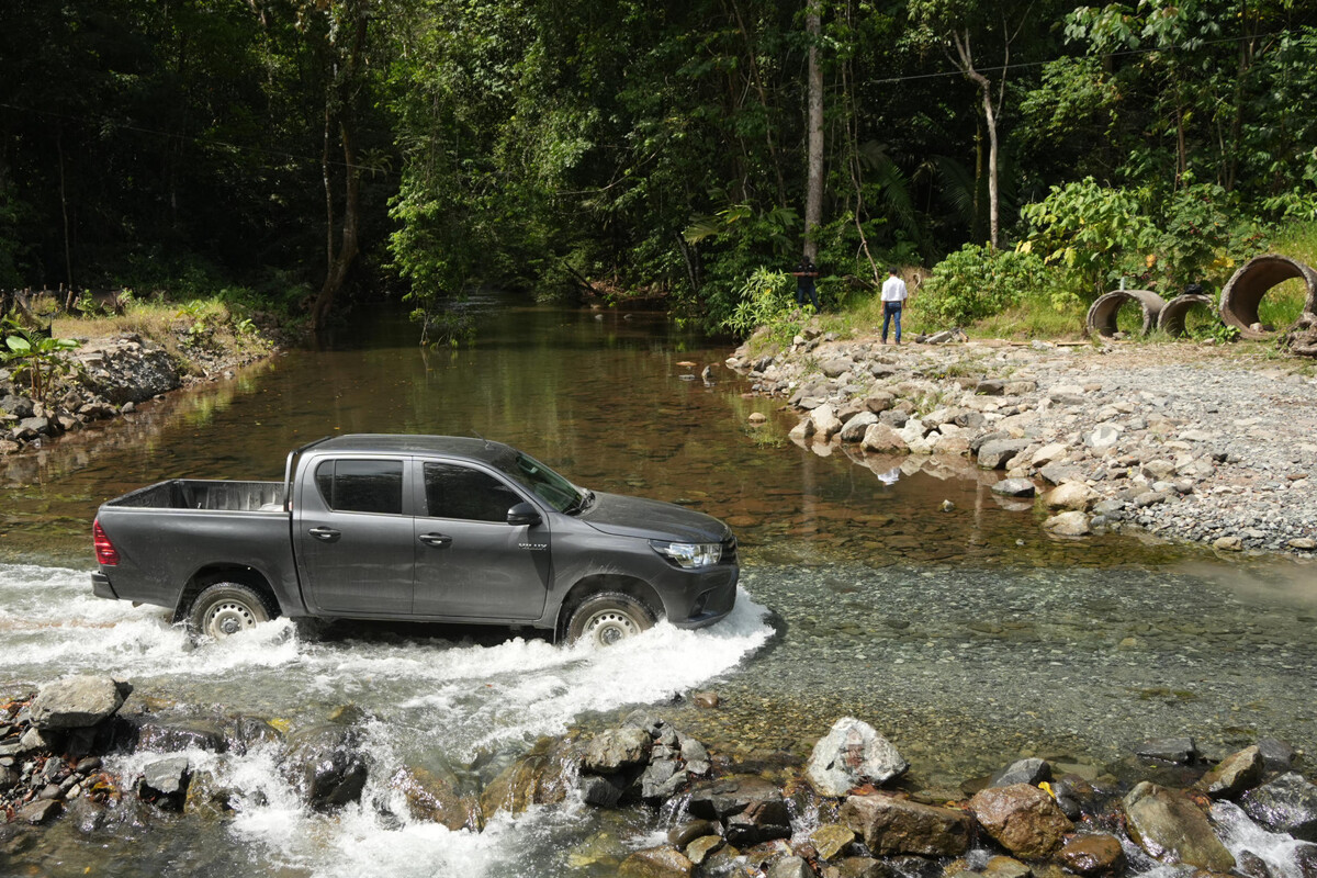 Eco-Highway Launches in Colón: Wildlife Comes First