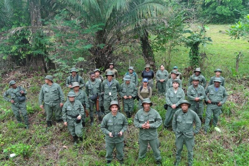 Guardianes 2026 Operation in Panama: Combating Environmental Crimes