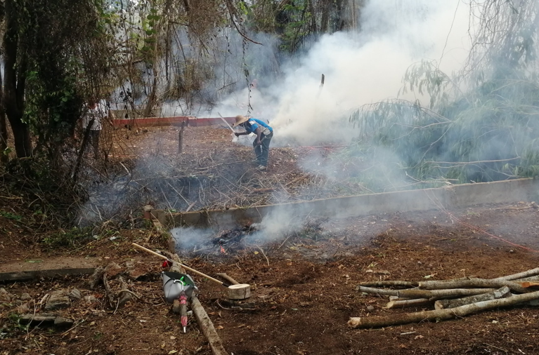 Wildfires Threaten Protected Areas in Panama