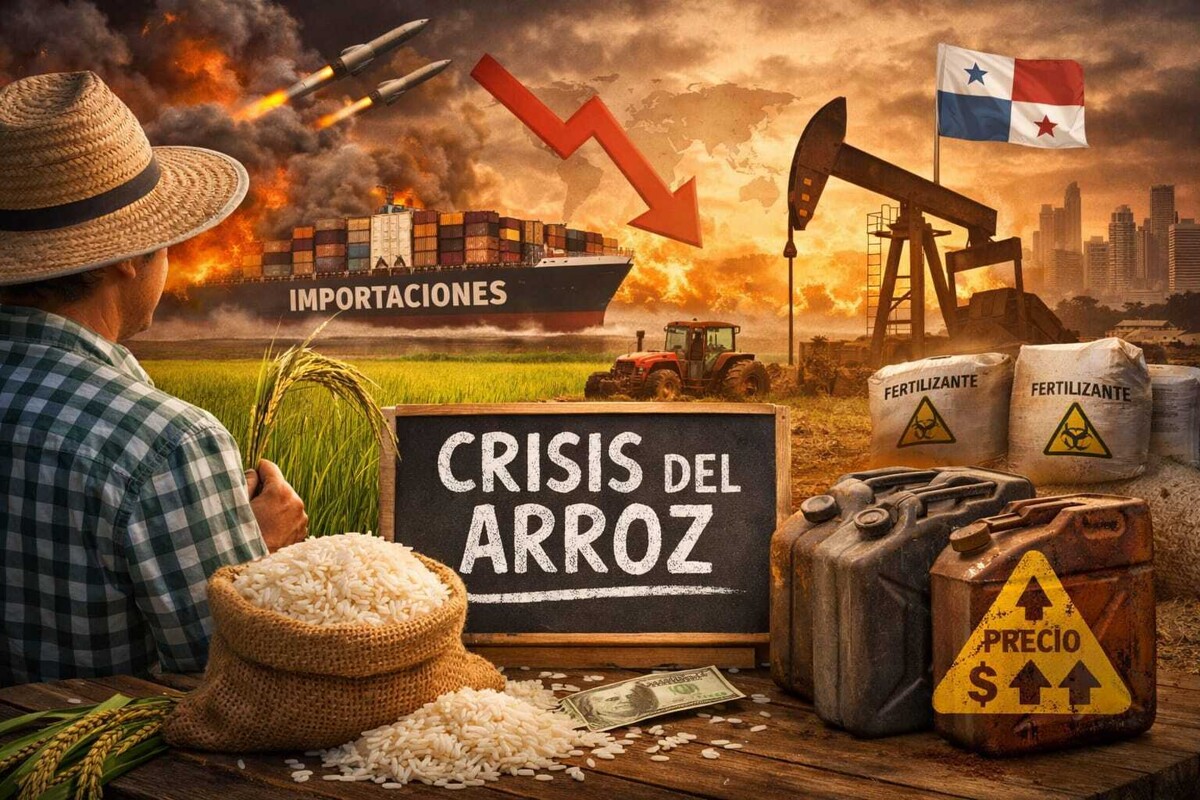 El arroz en la cuerda floja: costos se disparan y Panamá enfrenta riesgo en su seguridad alimentaria