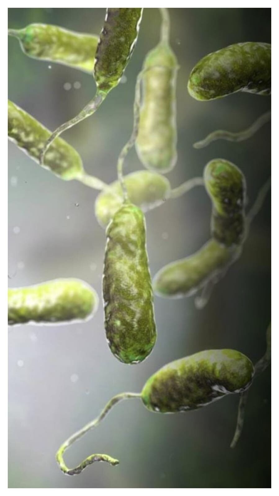 I Almost Died from a Caribbean Bacteria