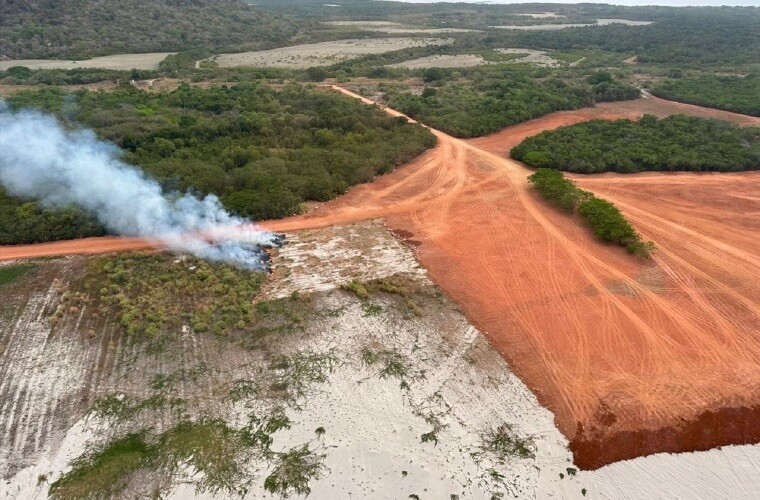 Уничтожение мангров в Панаме