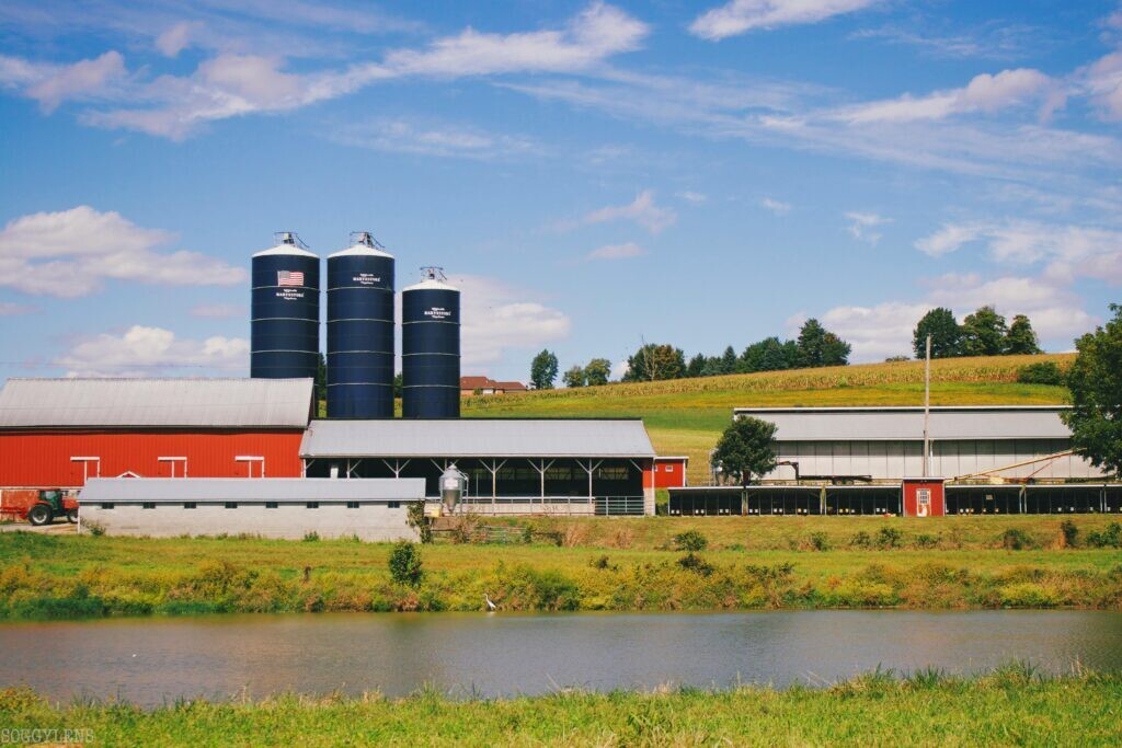 Панама Солидарио: как государственная программа изменит вашу жизнь