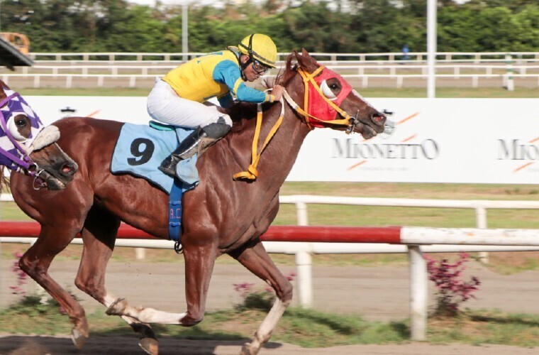 Finfirinsiti Wins Handicap Club Activo 20-30 Race in Panama