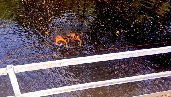 Body of Missing Young Man Recovered in Panama