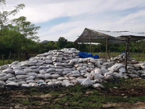 Приостановка работы птицефабрики из-за экологических нарушений в Панаме