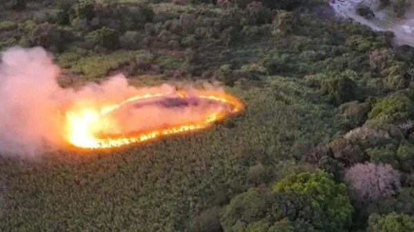 奇里基火灾摧毁高地山25公顷土地