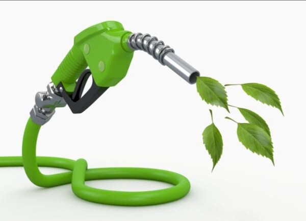 巴拿马政府推迟生物乙醇实施并澄清这不是新措施