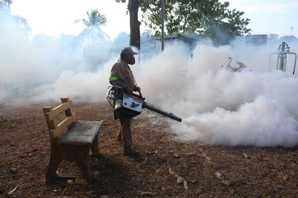 Fumigation and Rodent Control in San Miguelito