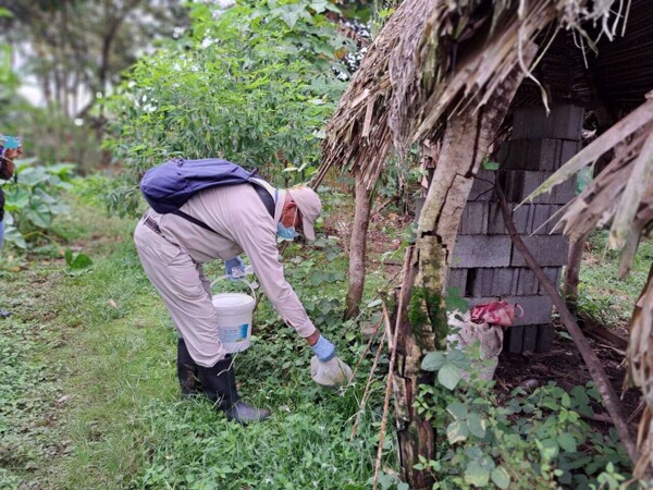 Panama Reports Over 4,500 Dengue Cases in 2025