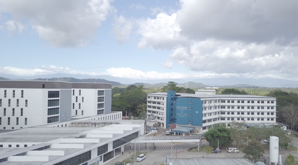 Son attacks mother in Panama