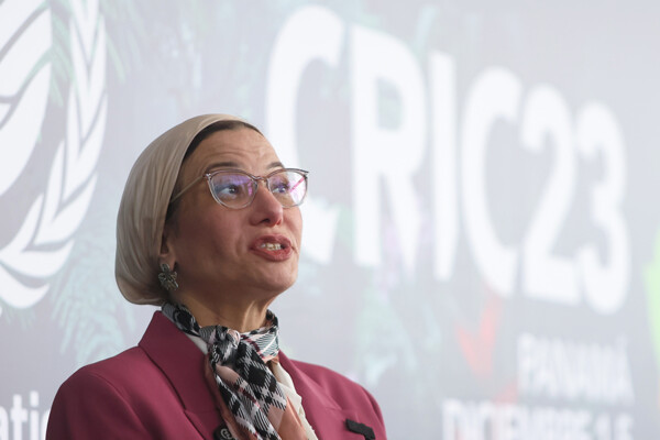 UN warns: expensive food and social instability are the visible faces of desertification