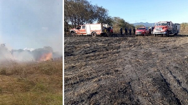 巴拿马消防员在查梅地区与森林火灾作斗争