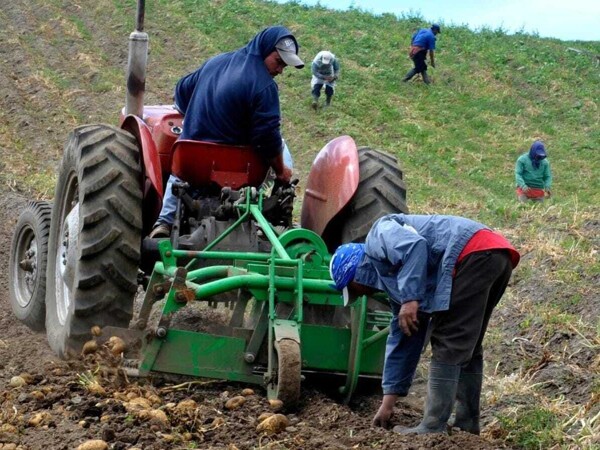 BDA Celebrates 53rd Anniversary with New Strategy for Agriculture