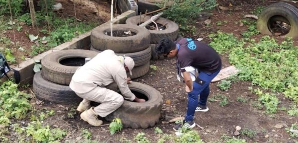 Вспышка лихорадки Денге в Панаме продолжает расти