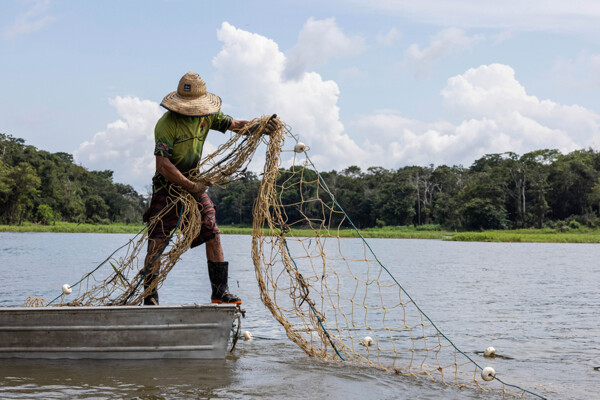 FAO highlights the nutritional potential of the sea and calls on Latin America to use it