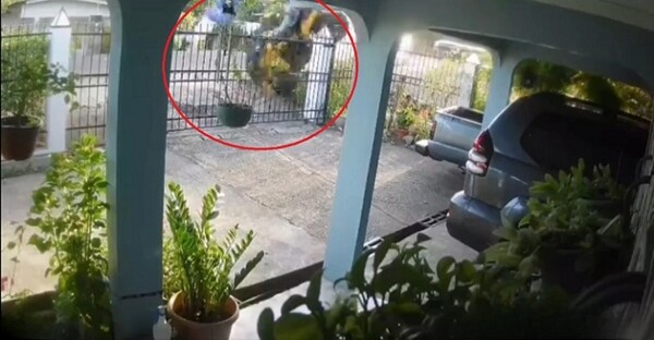 Four Wheeler Driver Survives Serious Crash in Veraguas