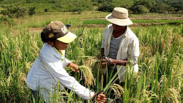 Concerns Rise Over Proposed Agricultural Research Bill