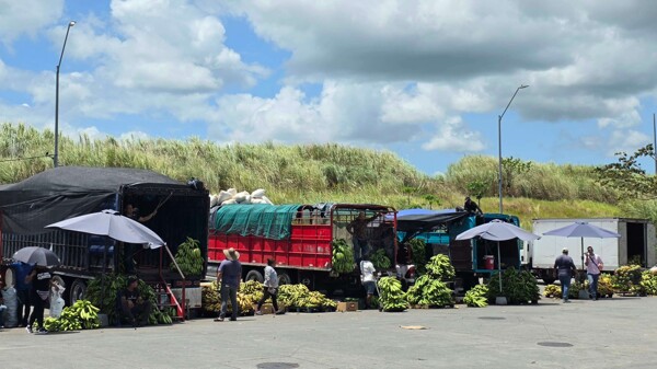 Fuel Price Hikes Pressure Food Prices in Panama