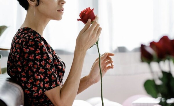 周年纪念玫瑰：颜色、意义及送给配偶的花卉