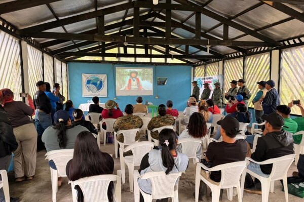 圣圣庞德萨克湿地国家公园海龟保护工作加强