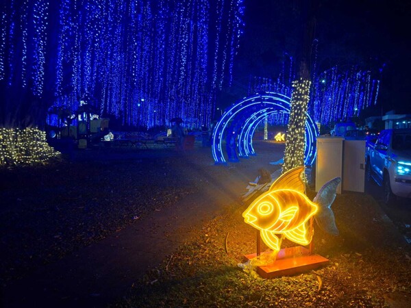 Panama Park to Get Thematic Marine Lighting