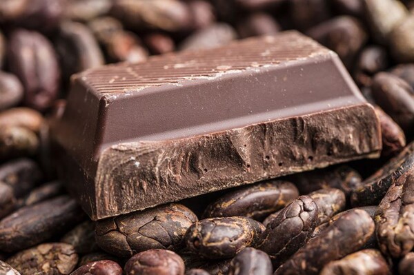 Expert on the Health Benefits of Chocolate