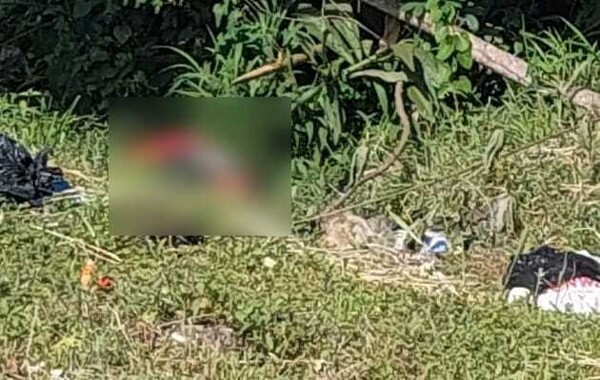 Man's Body with Gunshot Wounds Found in Panama