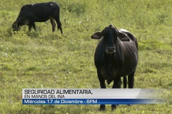 SERTV News Premieres Report on Food Security and the Future of Panamanian Agriculture