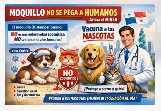 巴拿马卫生部澄清犬瘟热对人类无害