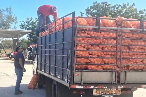 Panamanian Onion Deal Stabilizes Market