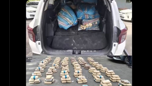 Гражданин Панамы задержан с наркотиками в Анконе