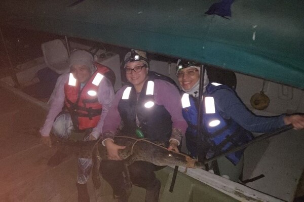 UTP Research Provides Scientific Basis for American Crocodile Management in Panama