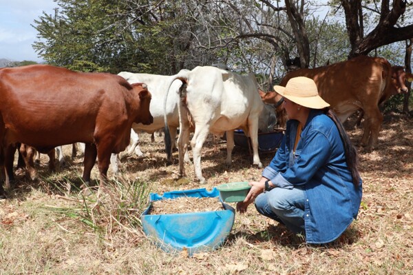 BDA Intensifies Efforts to Increase Credit Recovery Figures