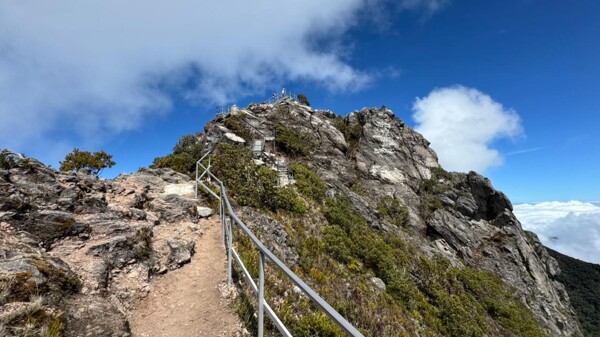 MiAmbiente зарегистрировало 124 отчета о нарушениях в заповедниках во время Карнавала