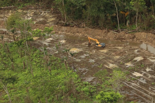 Угрозы для водно-болотных угодий Матусагарати в Дариэне