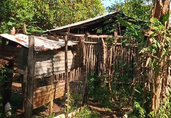 Veraguas Closes 2025 Between Emergencies, Social Challenges, and Solidarity