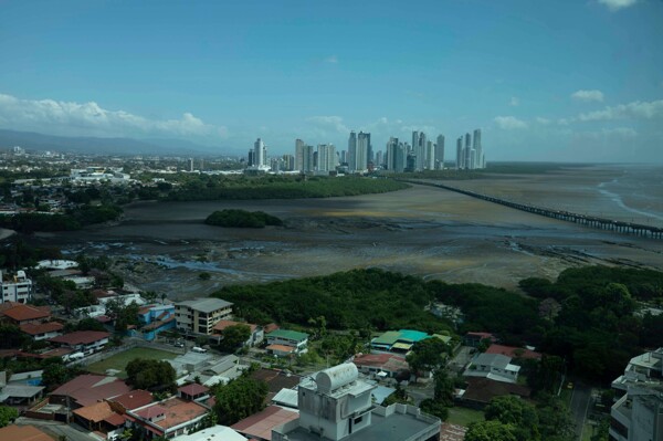 The Value of Panama Viejo's Mangroves
