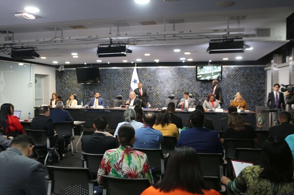 巴拿马监察员的独立性与专业化